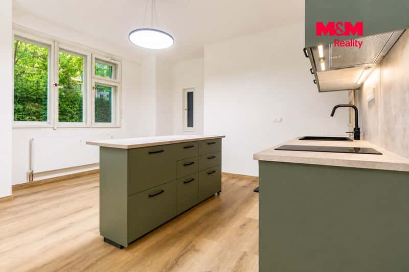 Prodej, Byt 1+kk, 46 m², Praha, Dlouhá