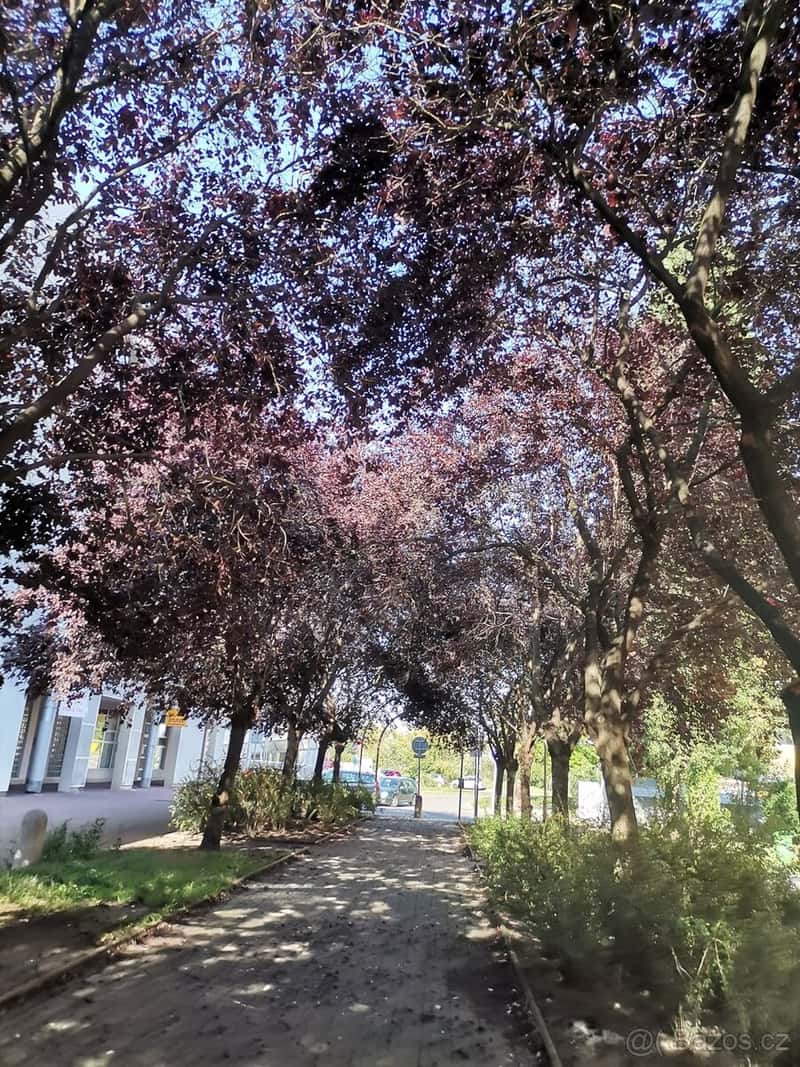 Výměna větší za menší,