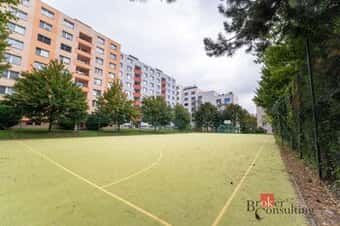 Prodej, byty/1+1, 34.5 m2, Turgeněvova, Černovice, 61800 Brn