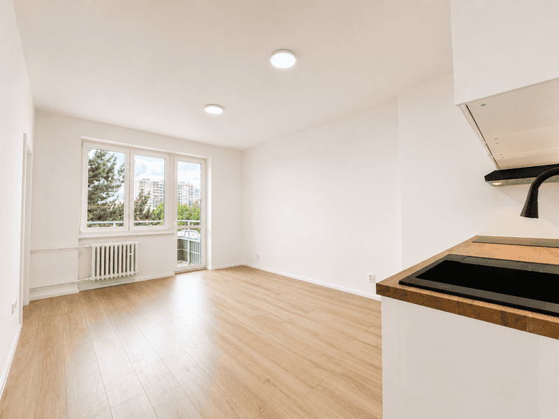 Prodej bytu 2+kk 38 m², U Slavie, Praha