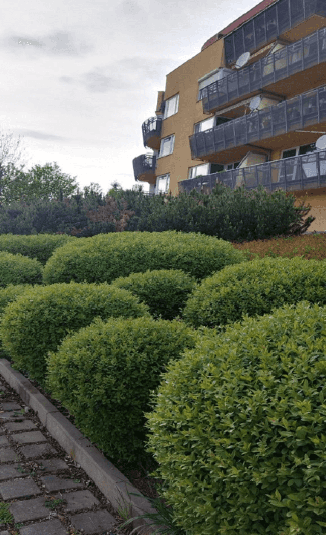 Prodej bytu 4+kk 100 m², Melodická, Praha