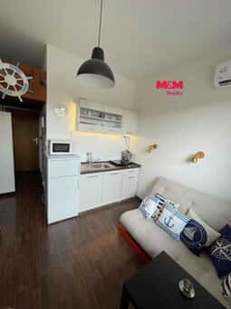 Prodej bytu 1+kk, 17 m², Slapy
